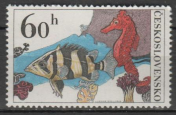2142 ** - 1975