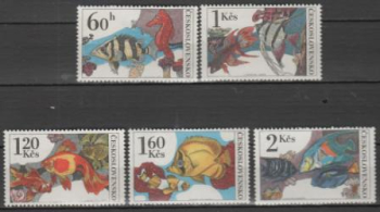2142 / 2146 ** - 1975