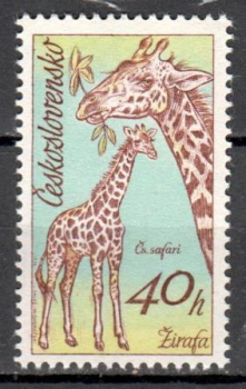 2224 ** - 1976