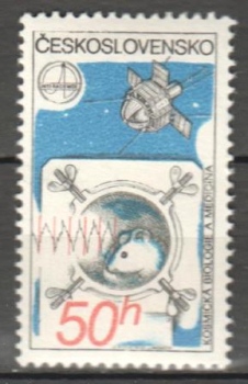2429 ** - 1975