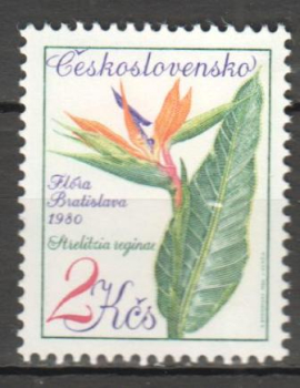 2447 ** - 1975