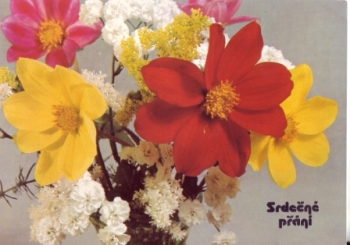 Srdečné přání - CZ 19xx 95 182 ●