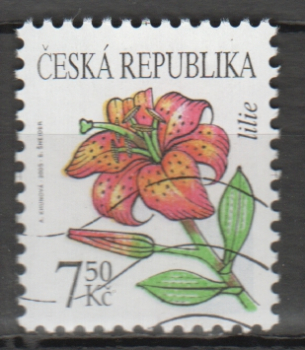 0423 ● vlnovka - 2005