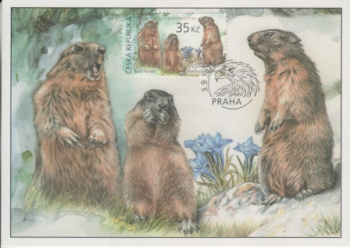 Preview: CM 169 / 172 ● - 2025