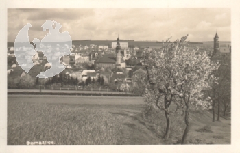 Domažlice xxxx 95 003 **