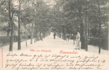 Františkovy Lázně 1899 95 001 ●