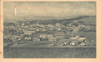 Srní (Fuchsova Huť - kresba) pod Čerchovem 1928 95 020 ●