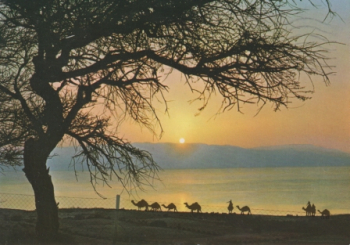 Východ slunce na Mrtvém moři - IL 1993 95 001 ●