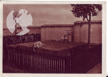 Lány (okres Kladno) 1946 95 002 ●
