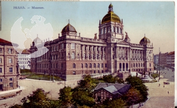 Národni muzeum 19xx 95 242 ●