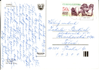 Preview: Doberschisch 1982 95 004 ●