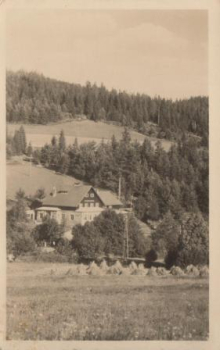 Stachy 19xx 95 093 ●