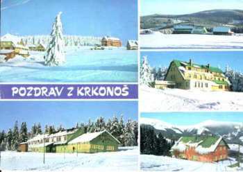 Petzer 19xx 95 095 ●