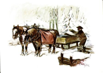 Cefischer 1963 95 001 A ● - Arbeit im Winterwald