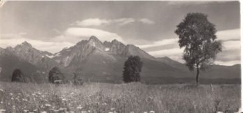 Vysoke Tatry - Lomnický štít - SK 1971 95 002 ●