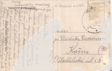 Trhový Štěpánov 1931 95 009 ●