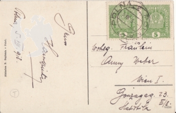 Polná - CZ 1918 95 009 ●