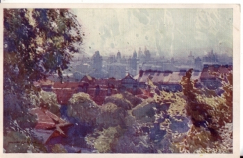 Jaroslav Šetelík - CZ 1919 95 028 ●