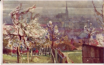 Jaroslav Šetelík - CZ 1919 95 035 ●