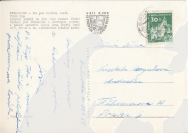 Petzer - CZ 1965 95 007 ●