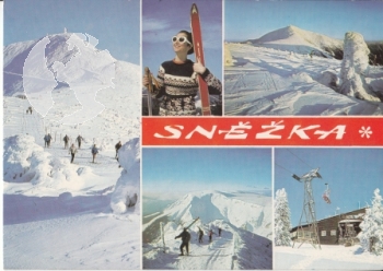 Petzer 1974 95 005 ●