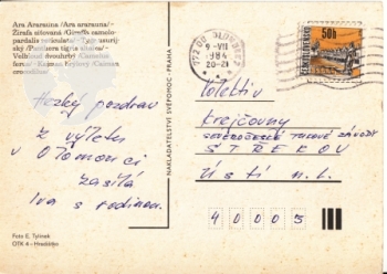 Olomouc - CZ 1984 95 001 ●
