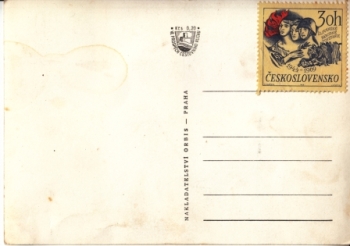 Česká Kamenice - CZ 19xx 95 338 **