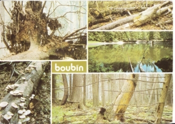Šumava - Boubín - CZ 19xx 95 398 ●