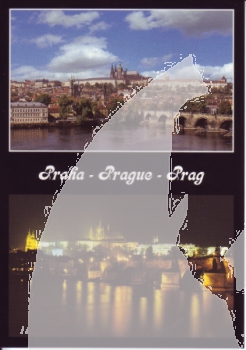 CPH 003 - CZ 2005 12 007 ●