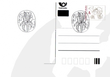 CDV 133 - CZ 2011 09 009 ●