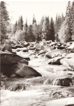 Šumava - Sušitsko - CZ xxxx 95 274 **