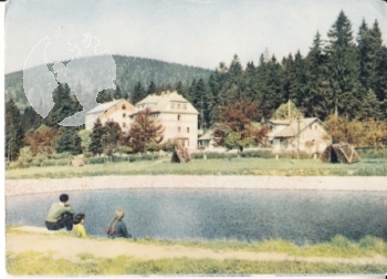 Šumava - Špičák - CZ xxxx 95 275 **