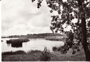 Lomnice nad Lužnicí - CZ xxxx 95 280 **
