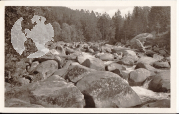 Šumava - Sušitsko - CZ xxxx 95 282 **