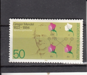 NSR 1199 ** - 1984
