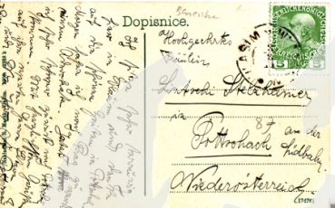 Vlašim 1909 95 001 ●