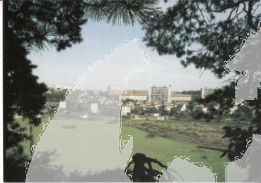 Zruč nad Sázavou xxxx 95 006 **