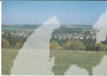 Zruč nad Sázavou xxxx 95 011 **