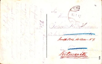 Šluknov 1917 95 001 ●