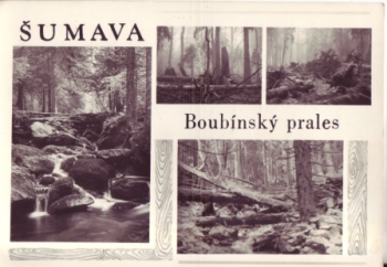 Šumava - Boubínský prales 1971 95 001 ●