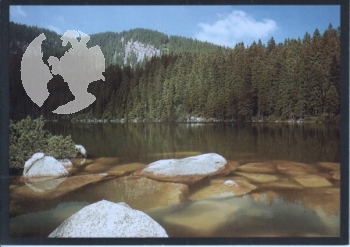 Šumava - Plešné jezero xxxx 95 003 **