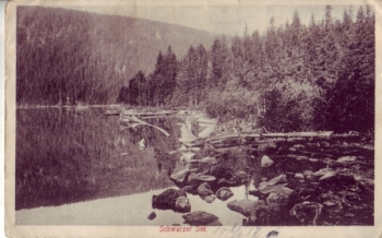 Šumava - Černé jezero 19xx 95 263 ●