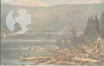 Šumava - Černé jezero xxxx 95 002 **