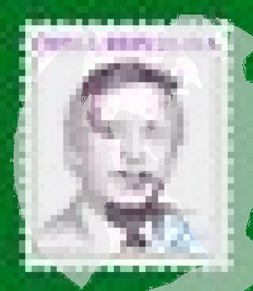 0001 / 0029 ** - 1993 kompletní čistý (neražený) ročník