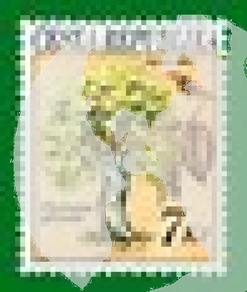 0001 / 0029 ** - 1993 kompletní čistý (neražený) ročník