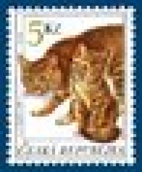 0204 / 0242 ** - 1999 kompletní čistý (neražený) ročník