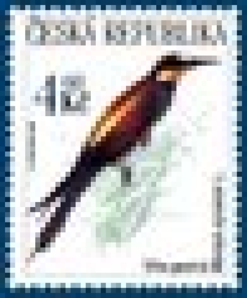0204 / 0242 ** - 1999 kompletní čistý (neražený) ročník