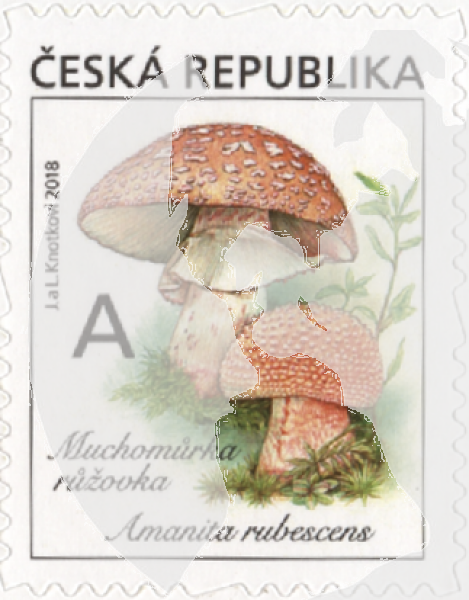 0957 (A 0957) / 1015 ** - 2018 kompletní čistý (neražený) ročník