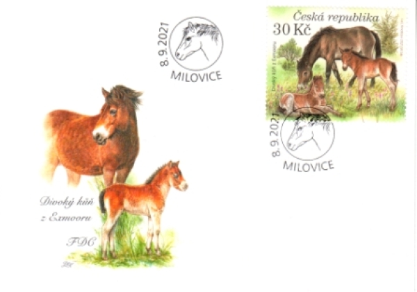 FDC 1104 / 1146 ● - 2021 komplette Jahrgang