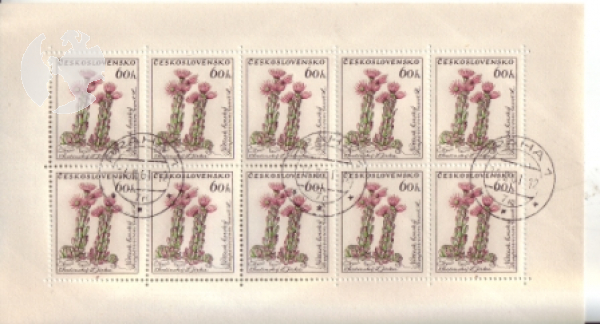 1051 PL ● - 1960